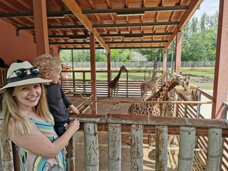 Rodzina w zoo, karmiąca żyrafy. Węgry, gdzie jechać na wakacje z dziećmi? Zoo w Budapeszcie to świetny pomysł!